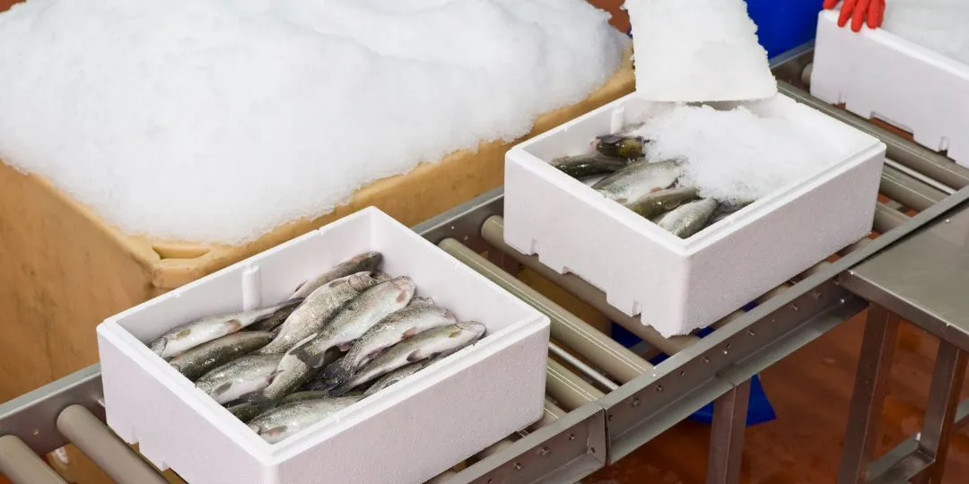 Deniz Ürünleri İşleme ve Muhafaza Depoları