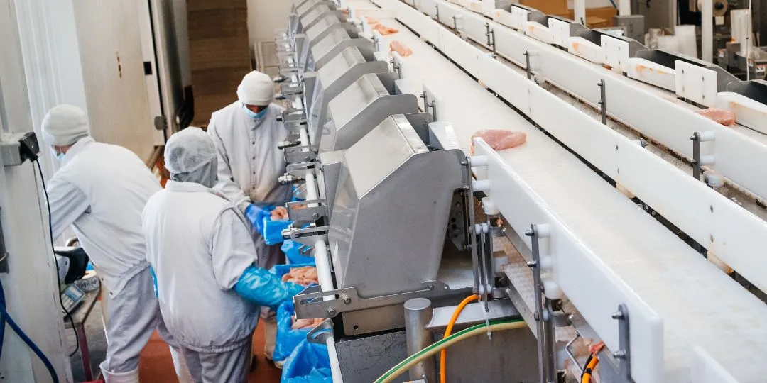 Et ve Et Ürünleri İşleme ve Muhafaza Depoları